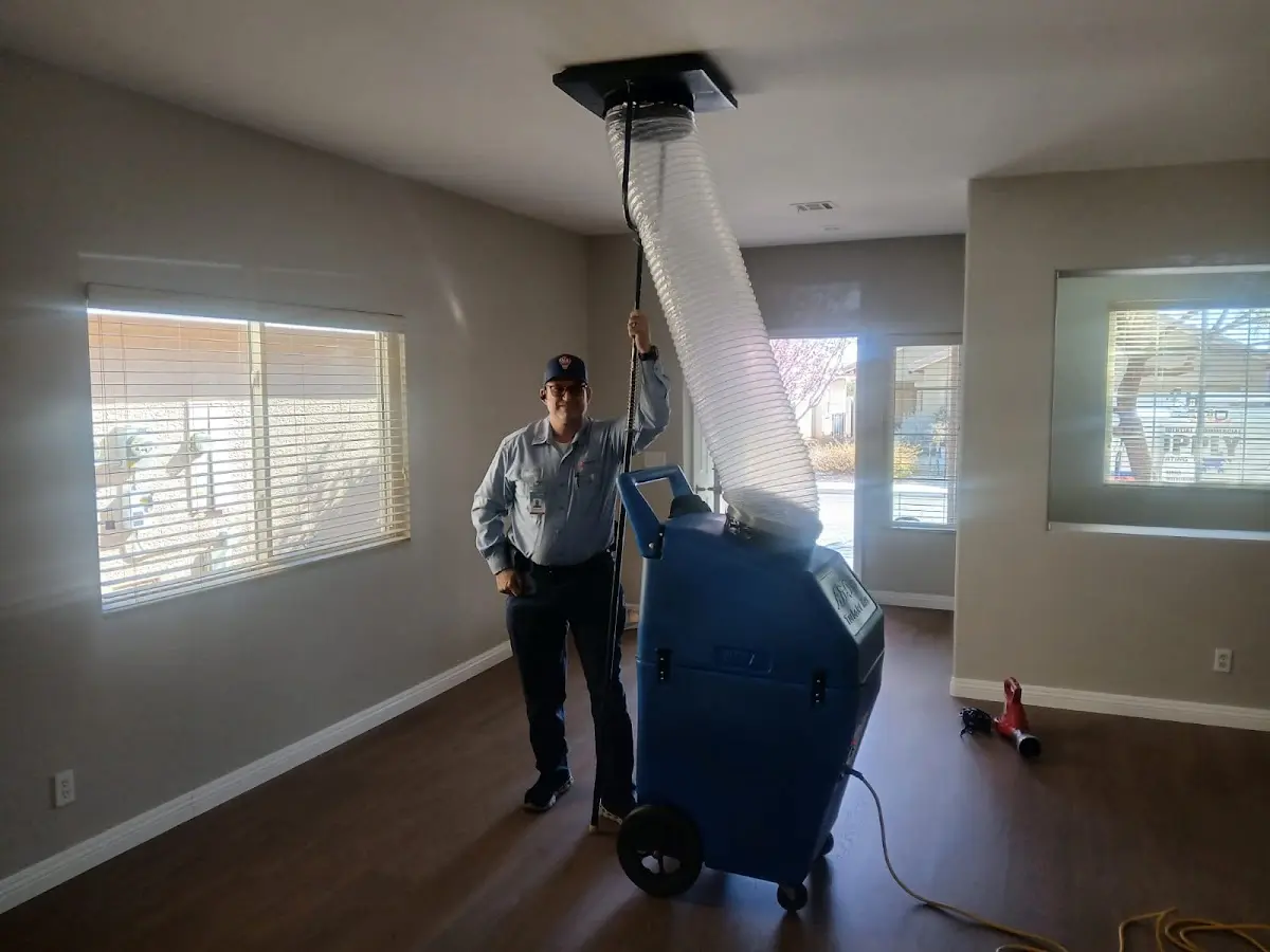 Professional Dryer Vent Cleaning work inside a Herndon home